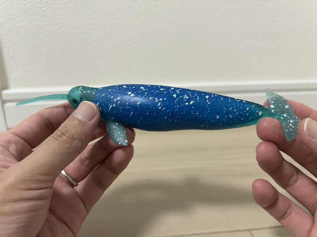 イッカクのおもちゃの写真