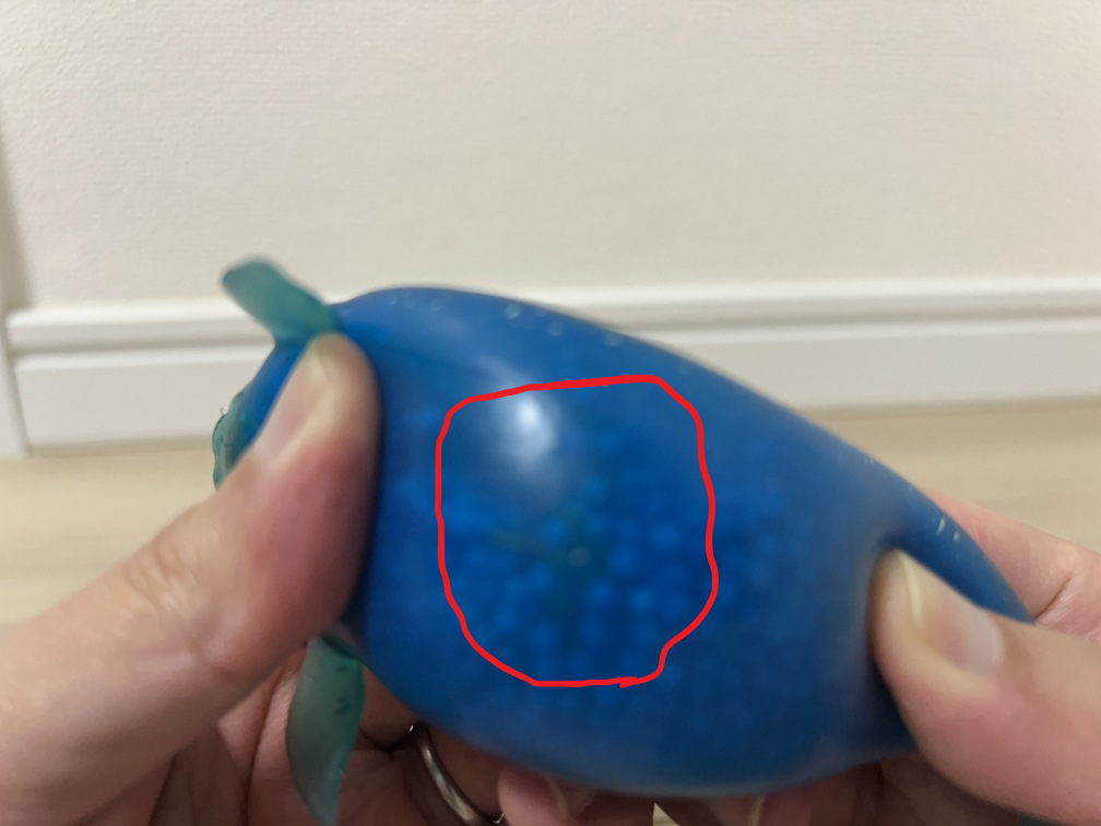 イッカクのおもちゃを引き伸ばして、中の獲物を見せている写真